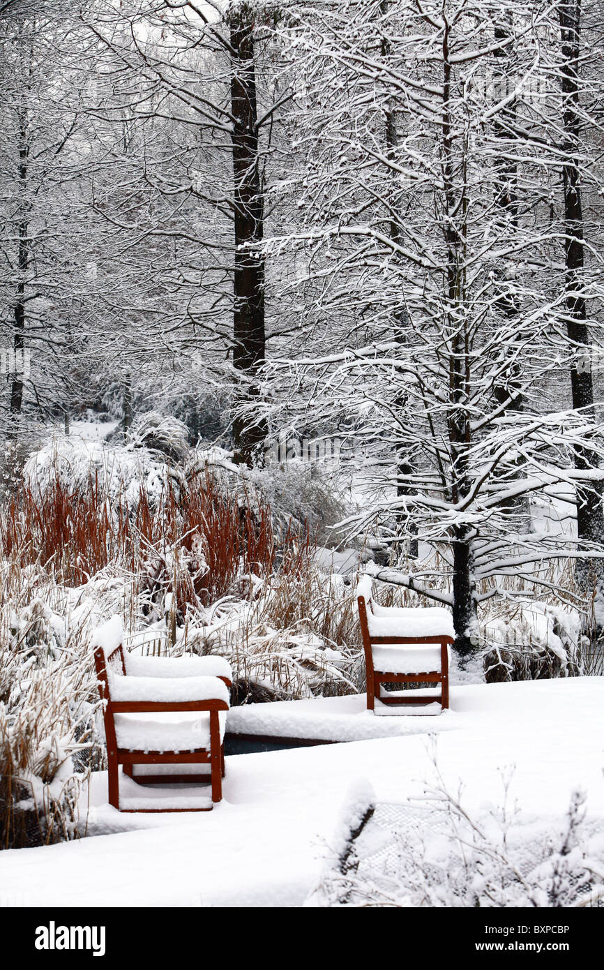 Inverno nel parco, coperta di neve interni ed esterni. Tranquilla atmosfera solitaria. Gruga Park, Essen, Germania Foto Stock