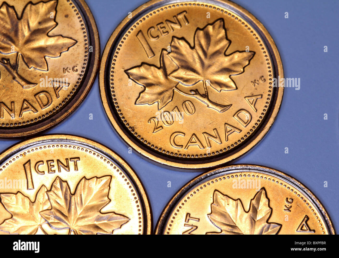 Canadian maple leaf penny 2010 Foto Stock