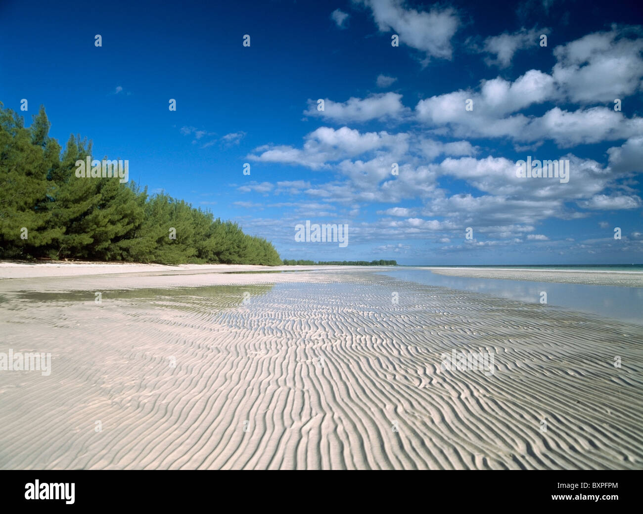 Textured sabbia a bassa marea, basso angolo di visione Foto Stock