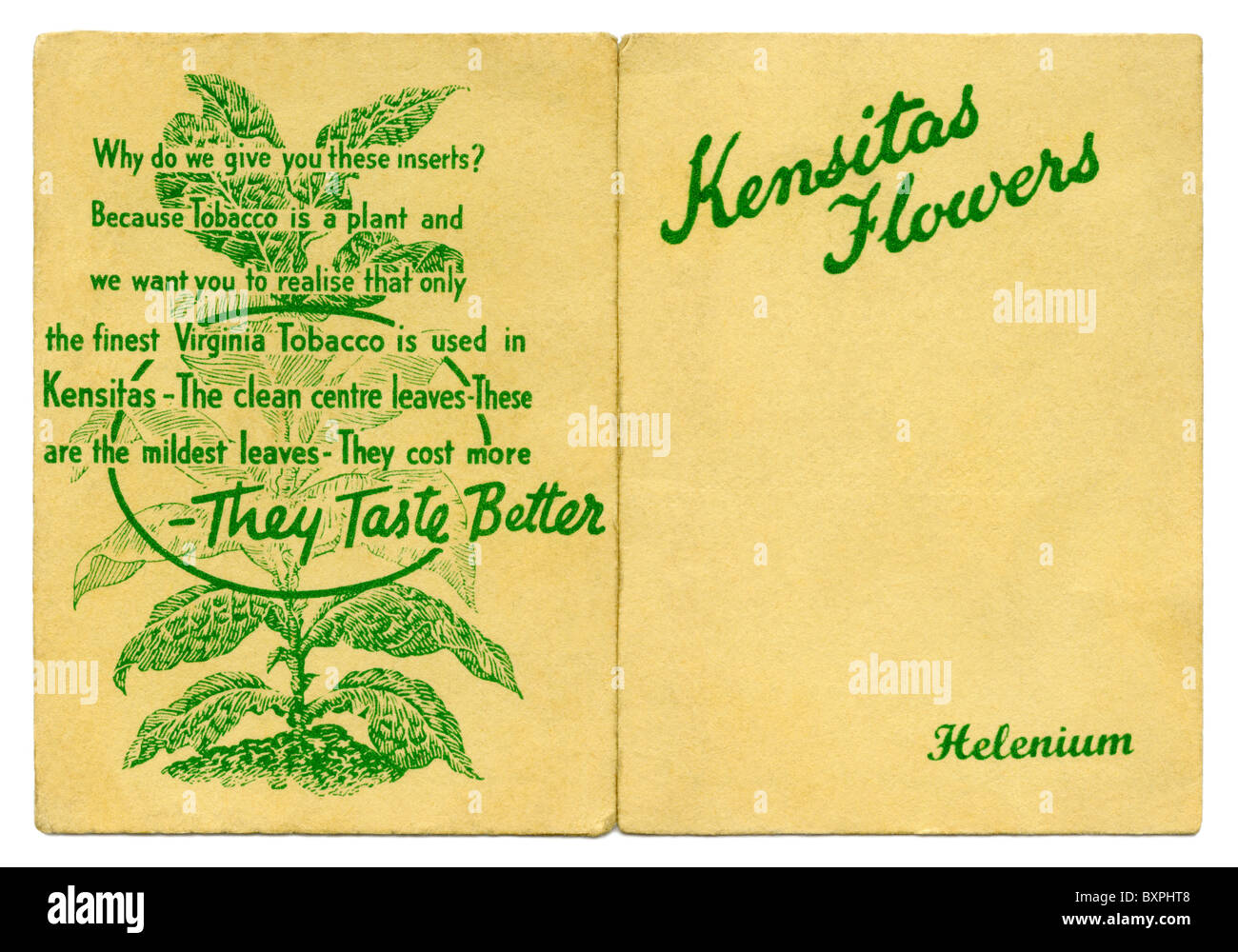 Kensitas fiori di carta di sigaretta cartella contenente un fiore di seta interno, dato via in confezioni di sigarette nel 1933 Foto Stock