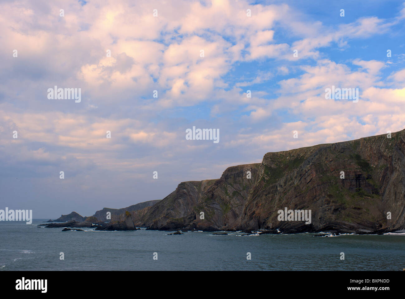 Rocce e mare hartland quay devon Foto Stock