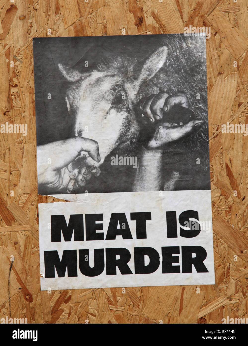 Un animale diritti poster su un edificio in una città del Regno Unito. Foto Stock