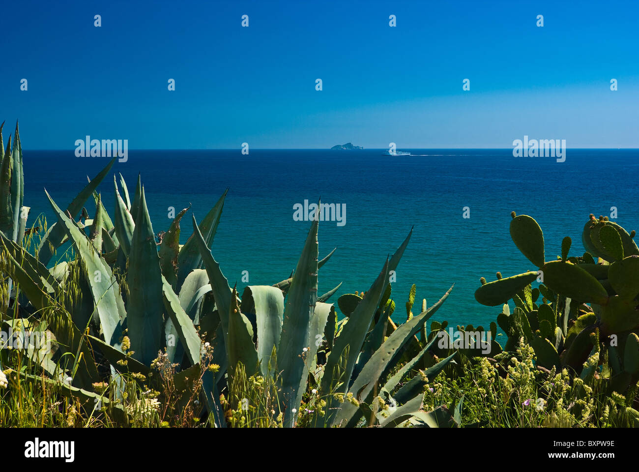 Vista dell'Isola d'Elba Foto Stock