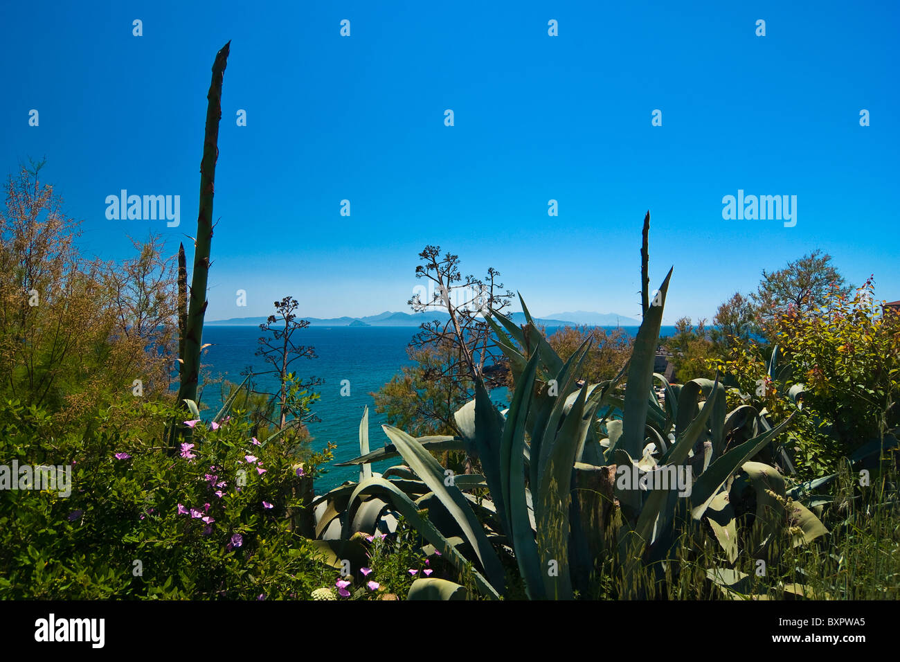 Vista dell'Isola d'Elba Foto Stock