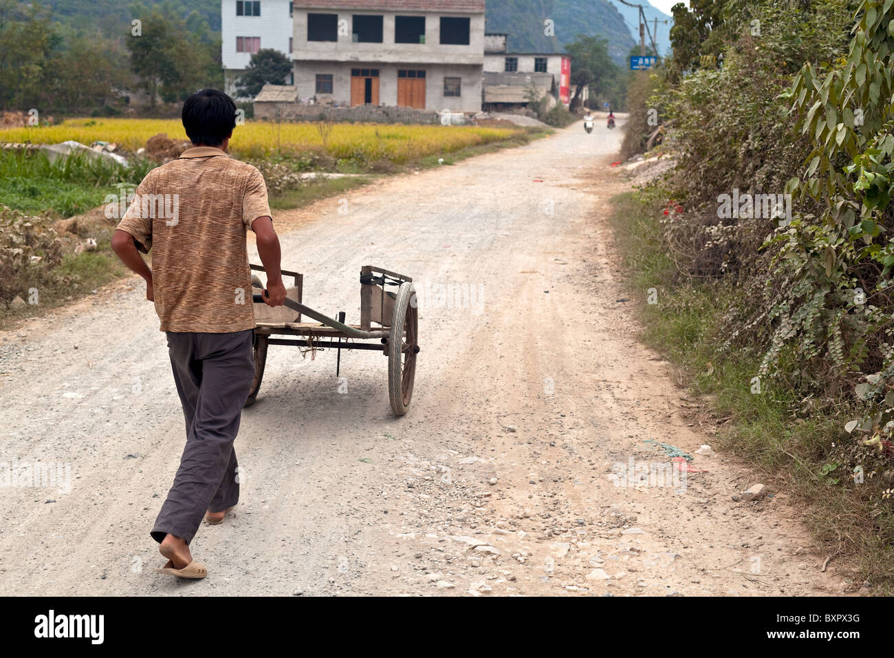 Cina, provincia di Guangxi, Yangshuo. Uomo locale con carrello. Foto Stock