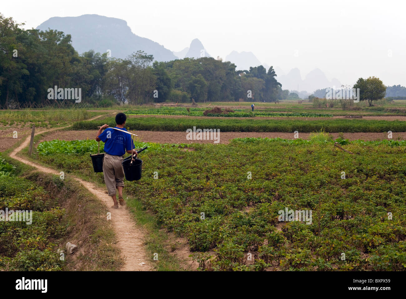 Cina, provincia di Guangxi, Yangshuo. Terreni agricoli, montagne carsiche. Foto Stock