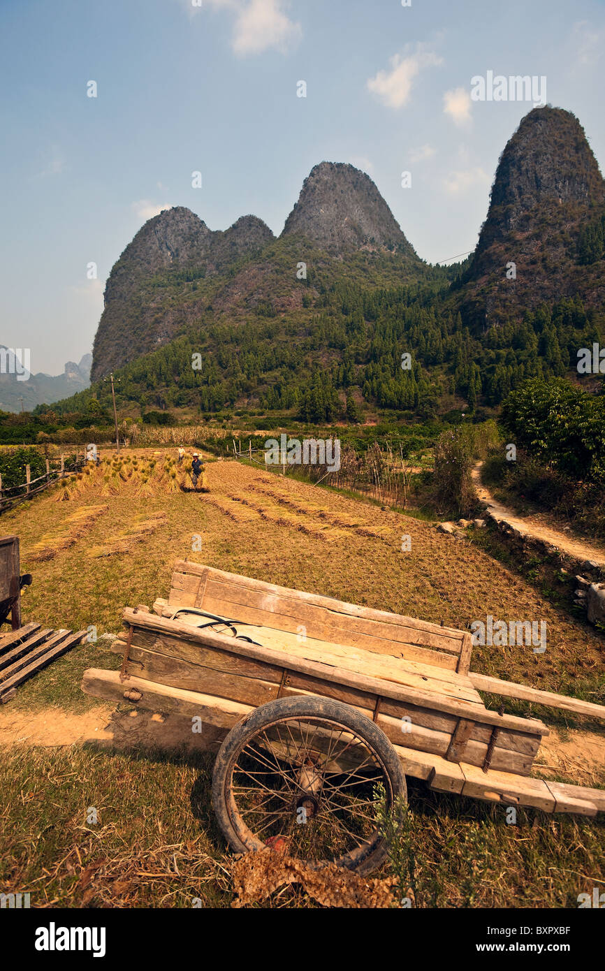 Cina, provincia di Guangxi, Yangshuo. Agricoltura, montagne carsiche. Foto Stock