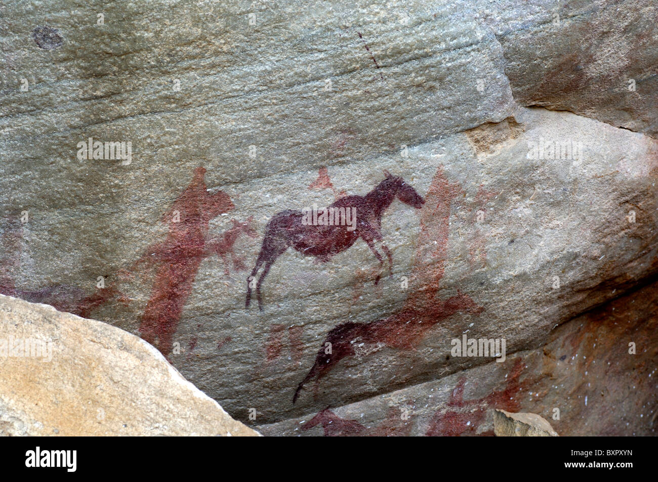 Preistorici paintintg rock di un' antilope, zebra o quagga, Sevilla Arte Rock Trail, montagne Cederberg, Sud Africa Foto Stock