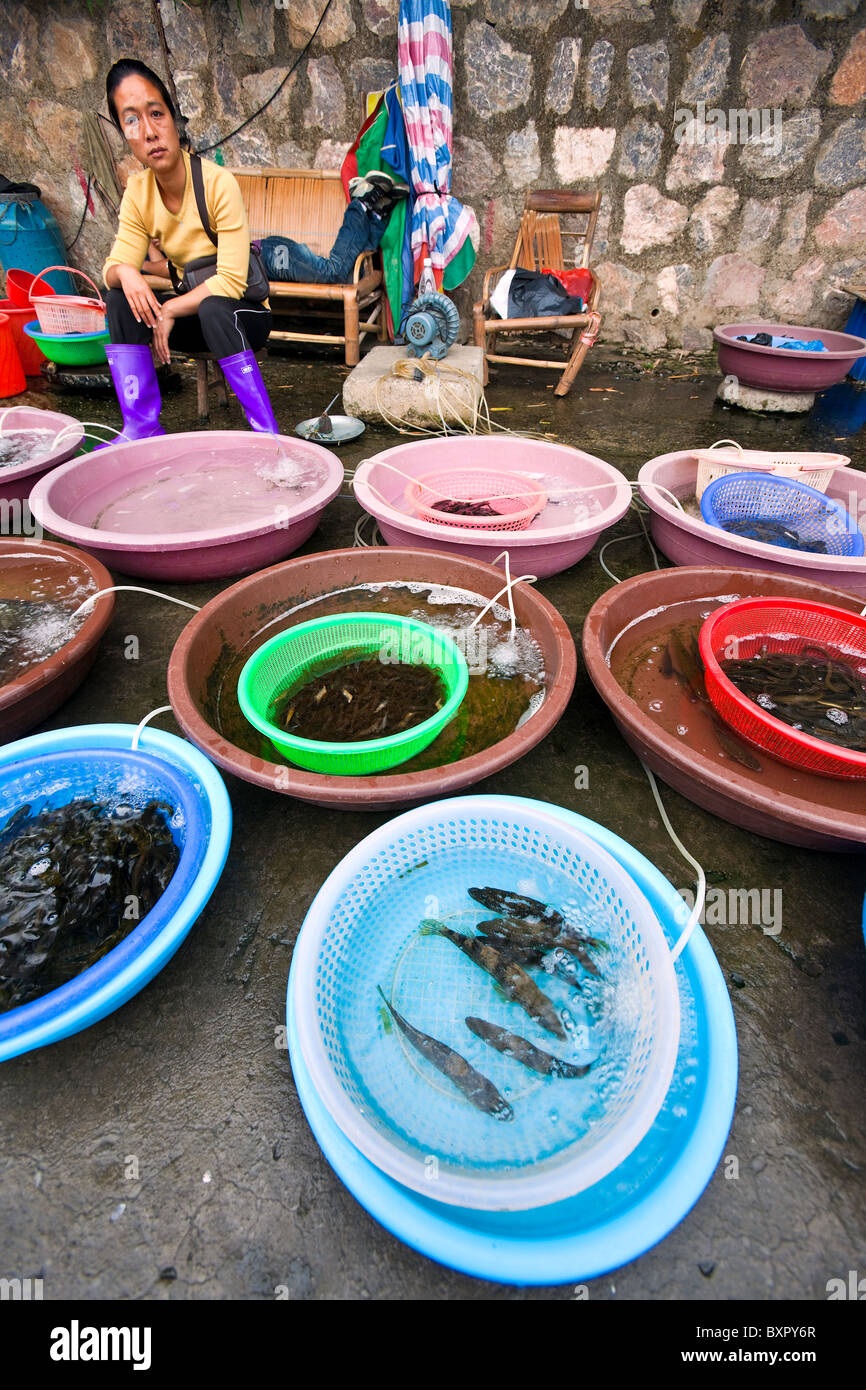 Cina, provincia di Guangxi, Yangshuo. Pesce fresco, in vendita. Foto Stock