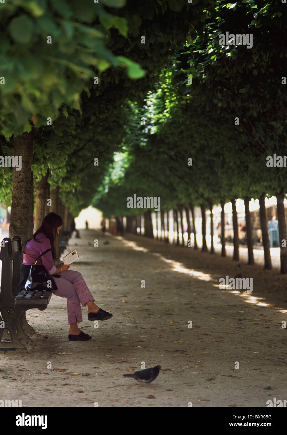 Signora Lettura Prenota nei giardini del Palais Royale. Foto Stock