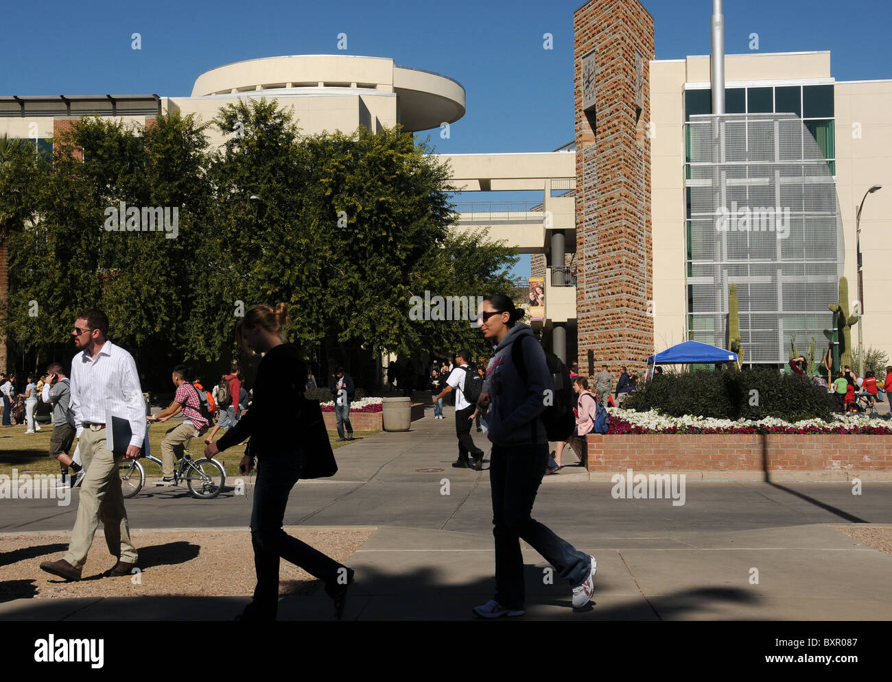 Università di Arizona, Tucson, Arizona, Stati Uniti. Foto Stock