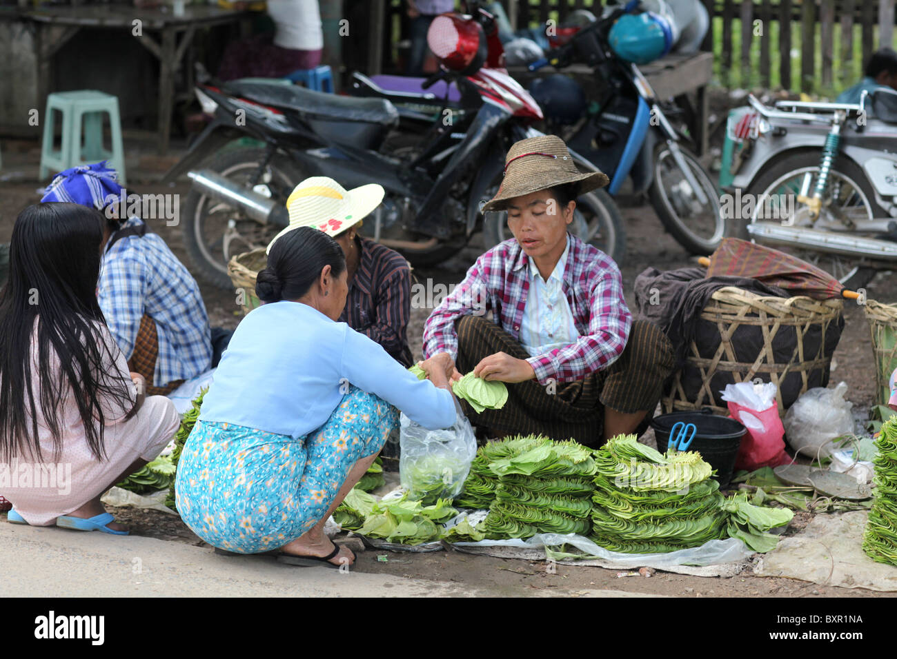 Donne locali preparazione di foglie di noci di betel nel mercato di Pyin U Lwin o Pyin Oo Lwin, Mandalay Division, Myanmar. (Birmania) Foto Stock