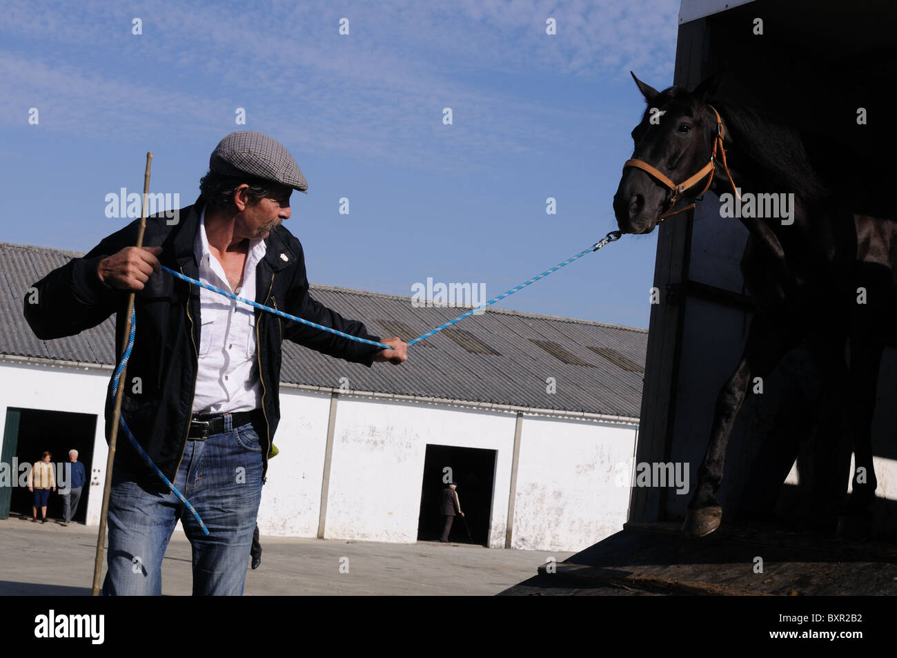 Cavallo di un carrello scarico ' Fiera del Bestiame ' FONSAGRADA . Lugo Galiza SPAGNA Foto Stock