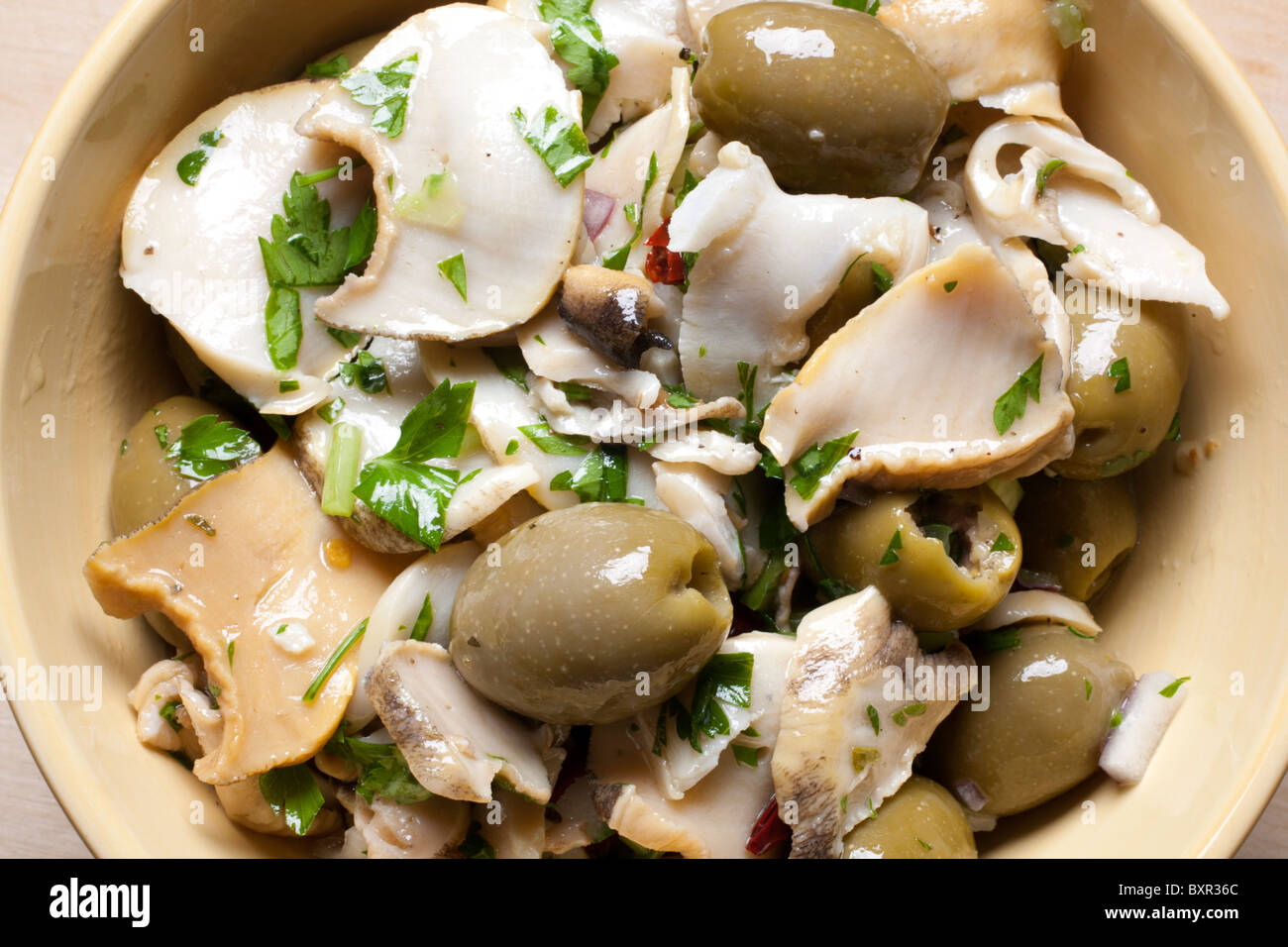 Scungilli Salad, un classico italiano/piatto americano Foto Stock Scungilli Salad, un classico italiano/piatto americano Foto Stock
