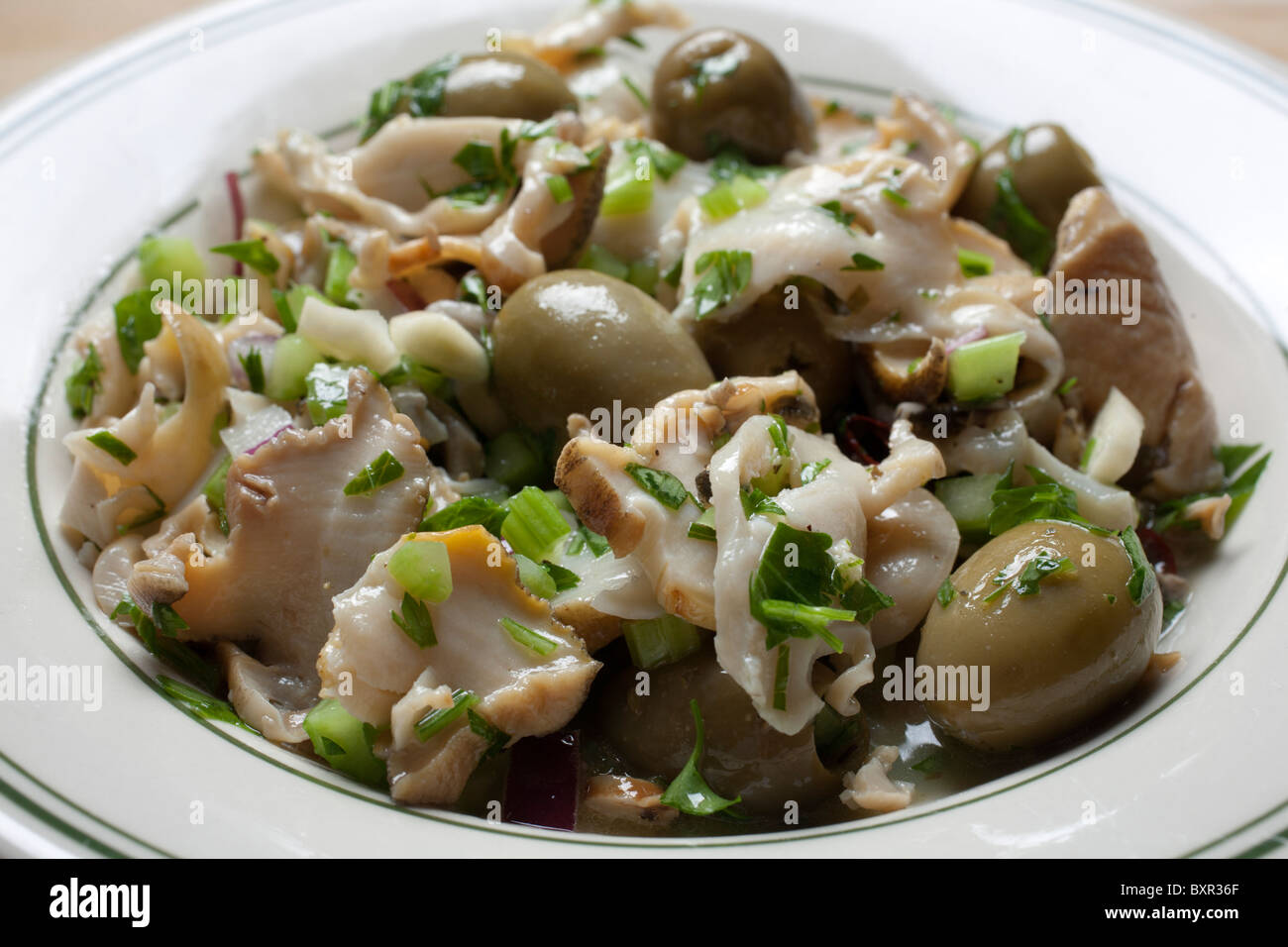 Scungilli Salad, Italiano/American classic Foto Stock Scungilli Salad, Italiano/American classic Foto Stock