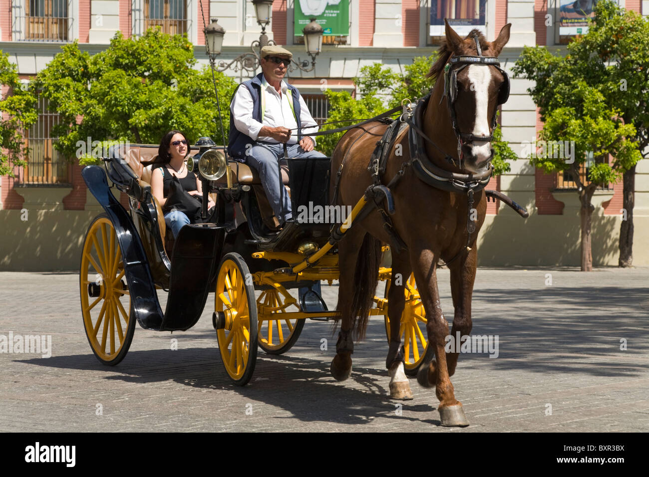 Trotto Cavallo traina il carrello e turisti. Plaza del Triunfo, davanti Diputacion de Sevilla, Casa de la Provincia. Siviglia Spagna Foto Stock