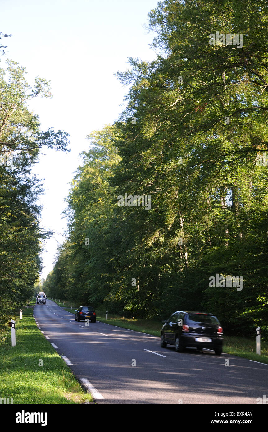 Le vetture che viaggiano lungo la strada Depatment D332 attraverso il viale di alberi nella foresta di Compiegne Francia Foto Stock