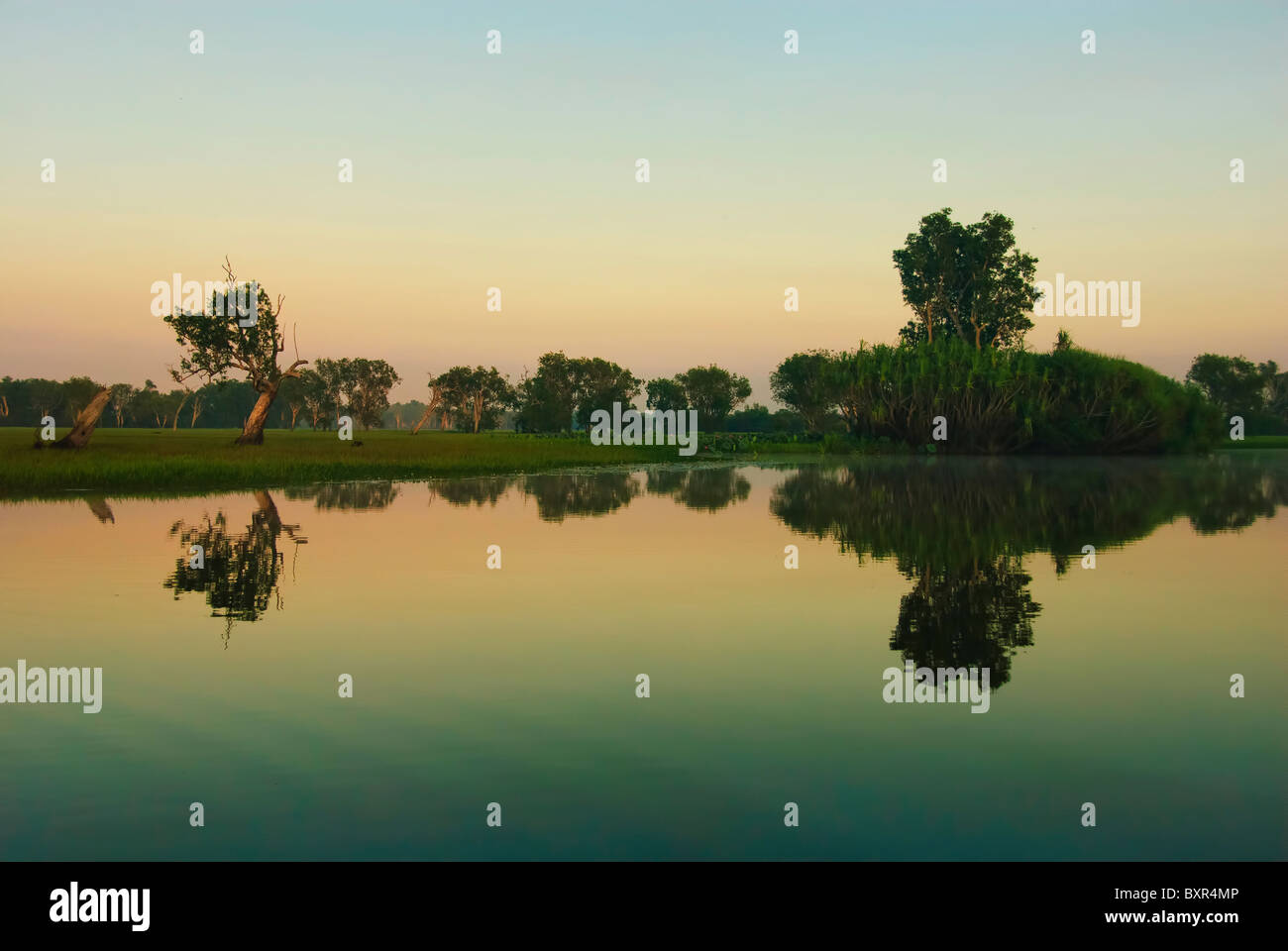 Il Fiume Giallo terra umida, il Parco Nazionale Kakadu, territori del Nord, Asutralia Foto Stock
