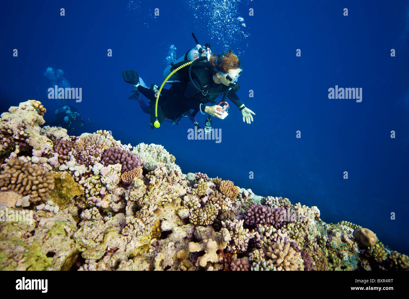 Diving la Grande Barriera Corallina Foto Stock