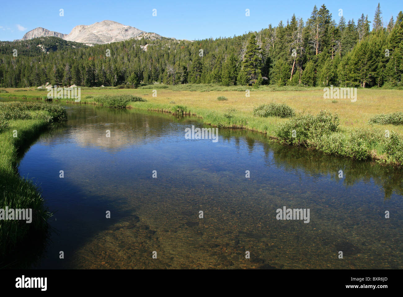 Popo Agie ruscello di montagna in Wind River Range del Wyoming Foto Stock
