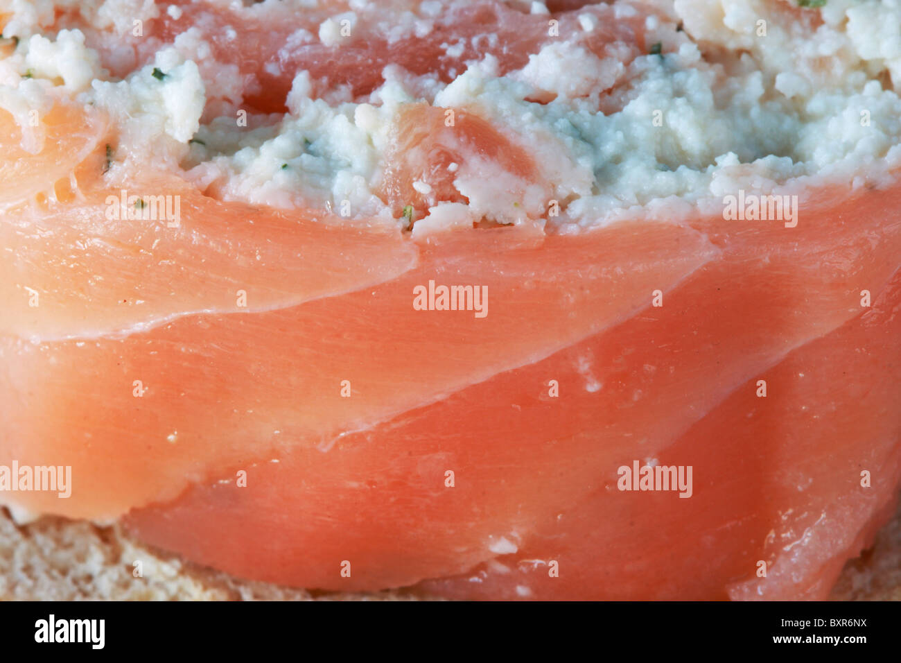 Salmone affumicato arrotolate intorno il formaggio ed erbe antipasto di riempimento macro Foto Stock