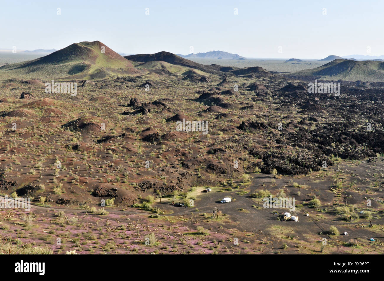 Vulcano Tecolote cono di scorie e campeggio visto dal Mayo Vulcano, El Pinacate Riserva della Biosfera, Sonora, Messico Foto Stock