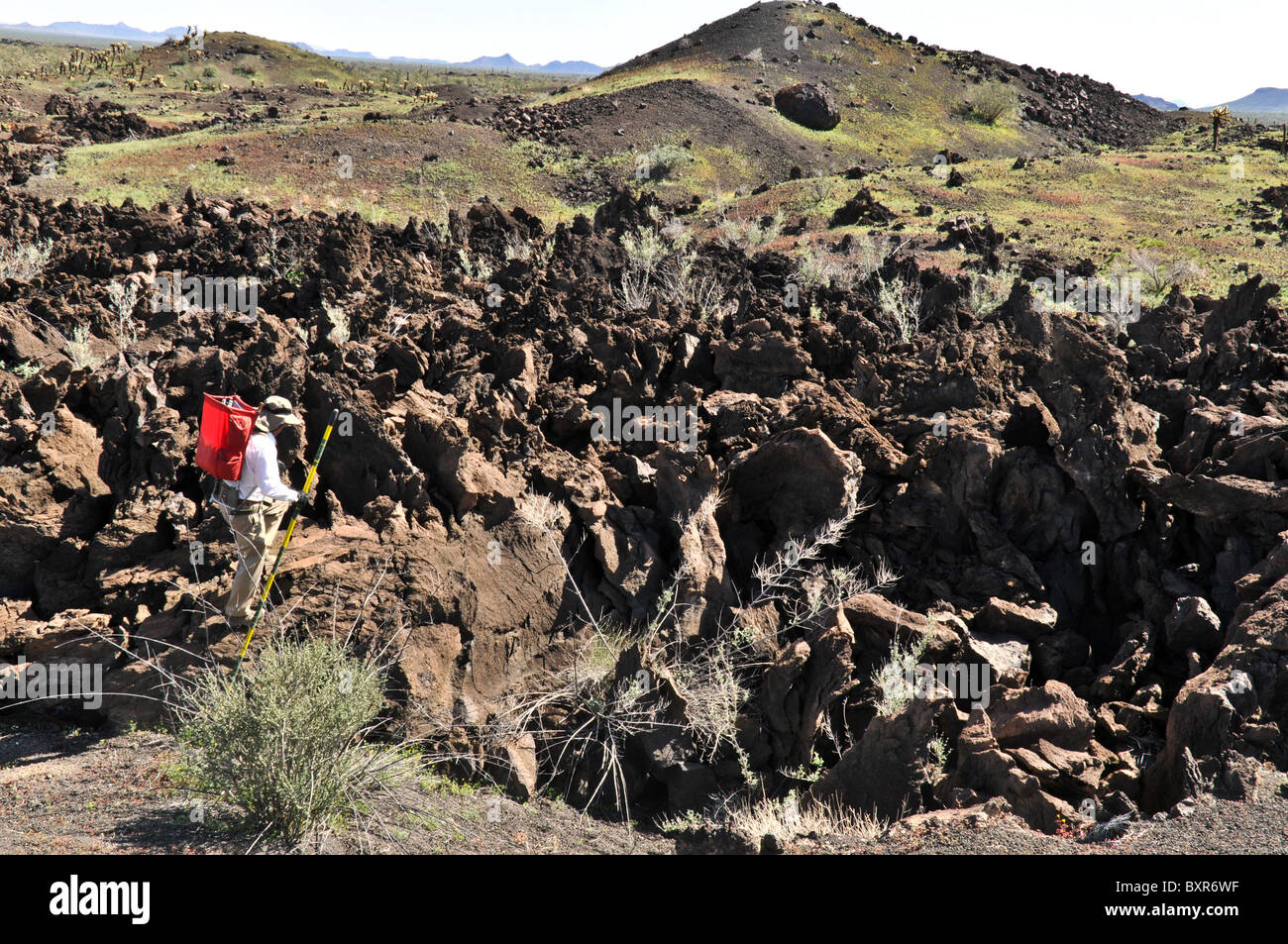 Geologo visualizzazione estremamente robusto flusso di lava sul fianco di Tecolote cono di scorie, El Pinacate Riserva della Biosfera, Sonora, Messico Foto Stock