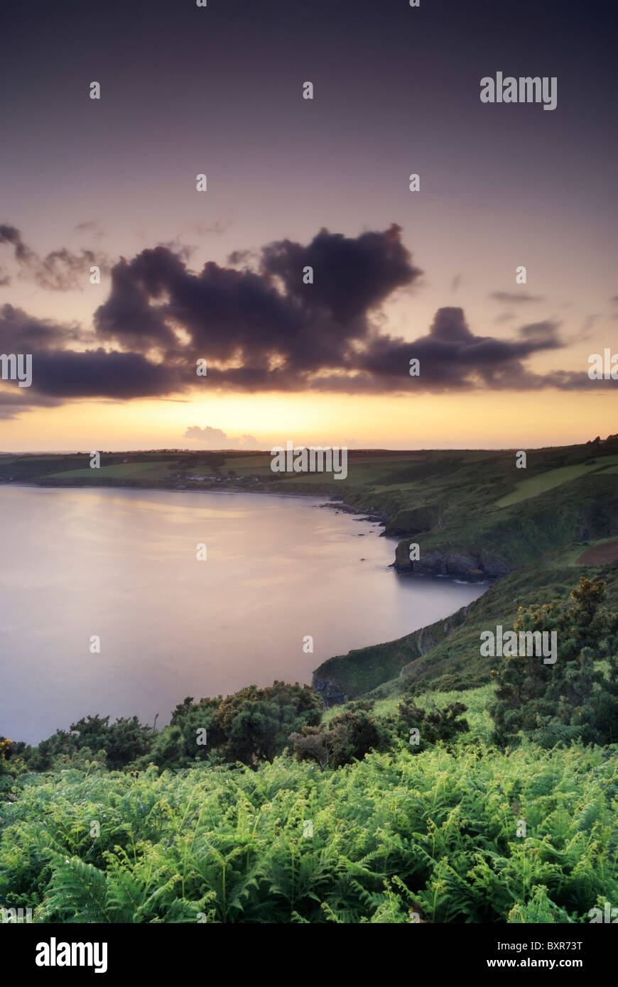 Vista da nsi testa guardando attraverso Gerrans Bay, Cornwall, Regno Unito Foto Stock