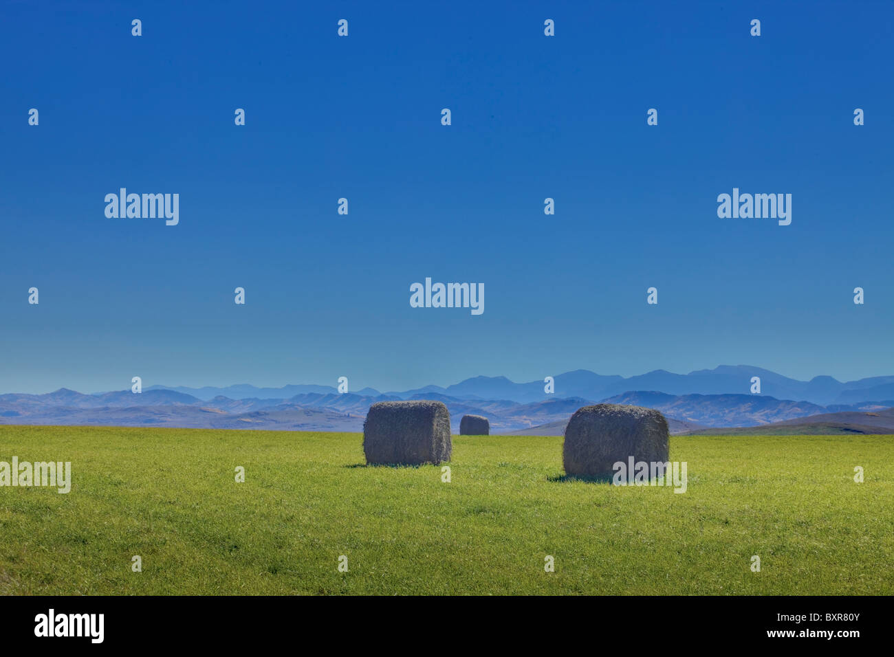 Balle di fieno e Rocky Mountain Vista, Alberta, Canada Foto Stock