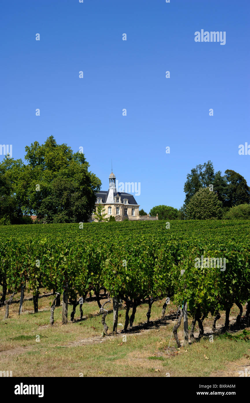 Francia, Bordeaux, vigneti Médoc, Chateau Fonreaud Foto Stock