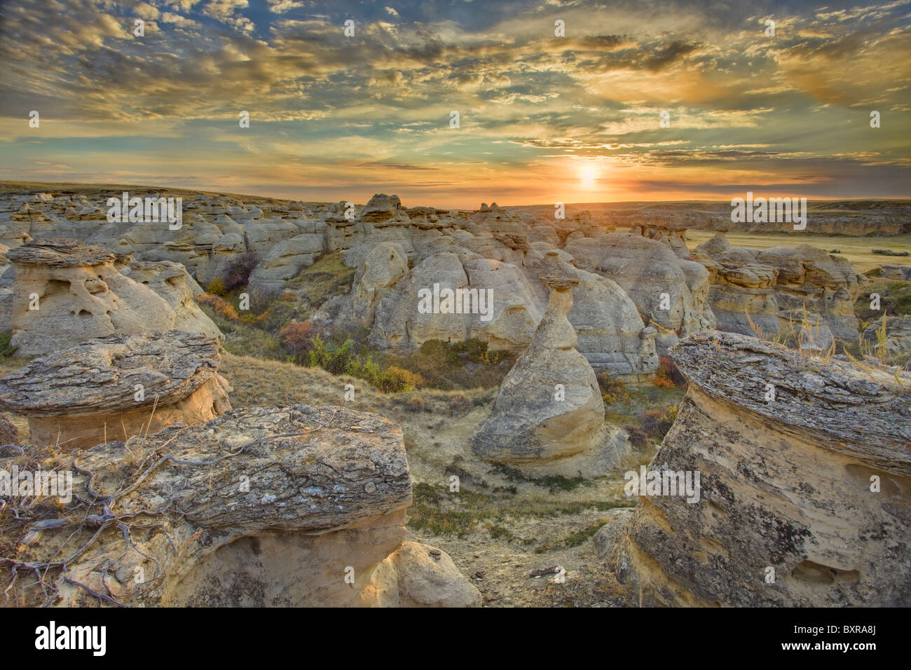 Hoodoos al Sunrise, Writing-On-pietra Parco Provinciale, Alberta, Canada Foto Stock