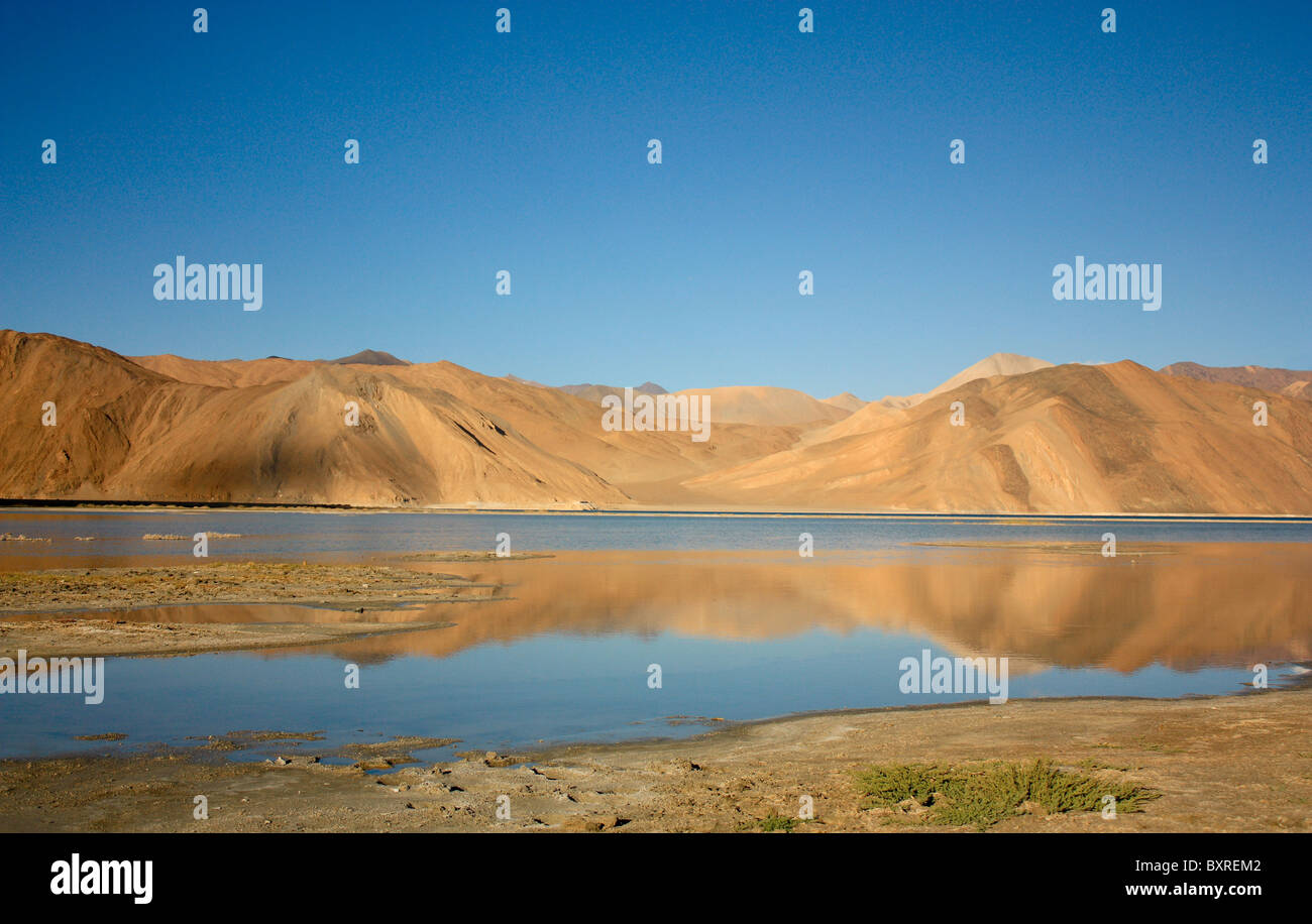 Pangong Tso (o Lago Pangong; Tso: Ladakhi per lago) è un lago endorheic dell'himalaya situato ad una altezza di circa un'altitudine di 1.325 m Foto Stock