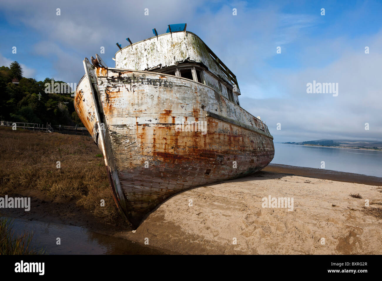 Abbandonato il naufragio del punto Reyes lungo la riva di Tomales Bay, nei pressi di Point Reyes National Seashore, California Foto Stock