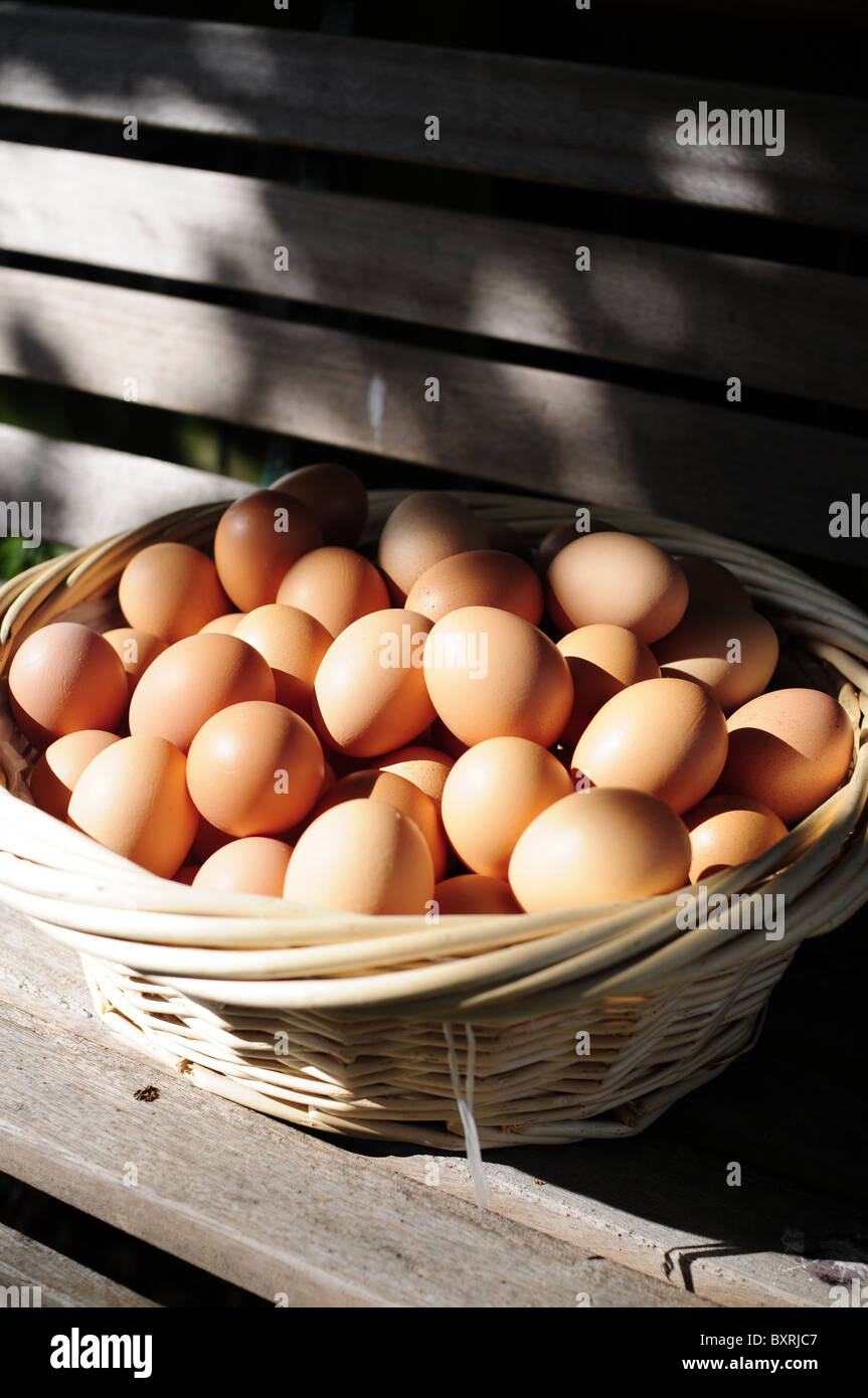 Free range le uova nel paniere Foto Stock