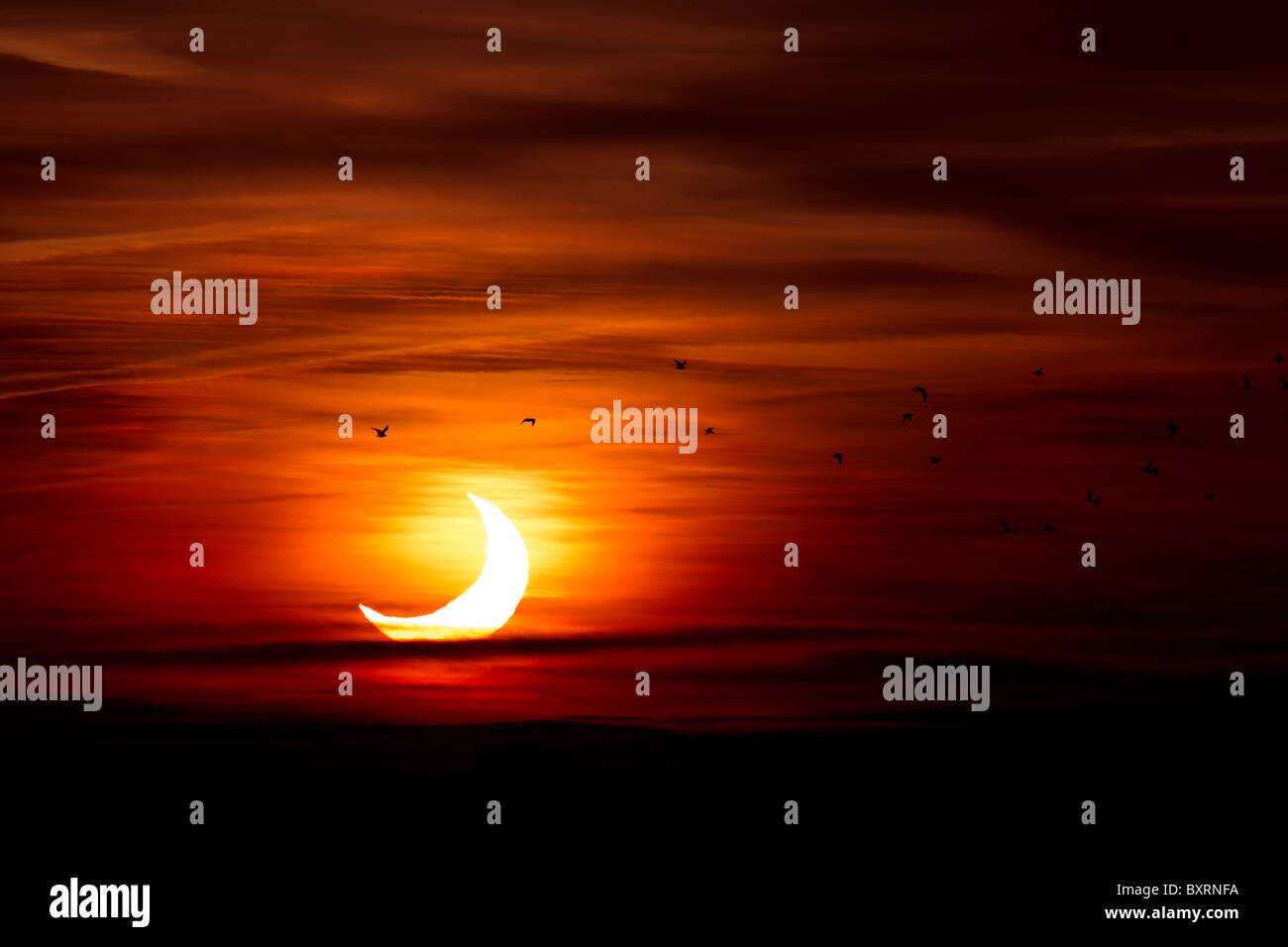 Parziale eclissi solare in Cambridgeshire Regno Unito 4 gennaio 2011 a Sunrise Foto Stock