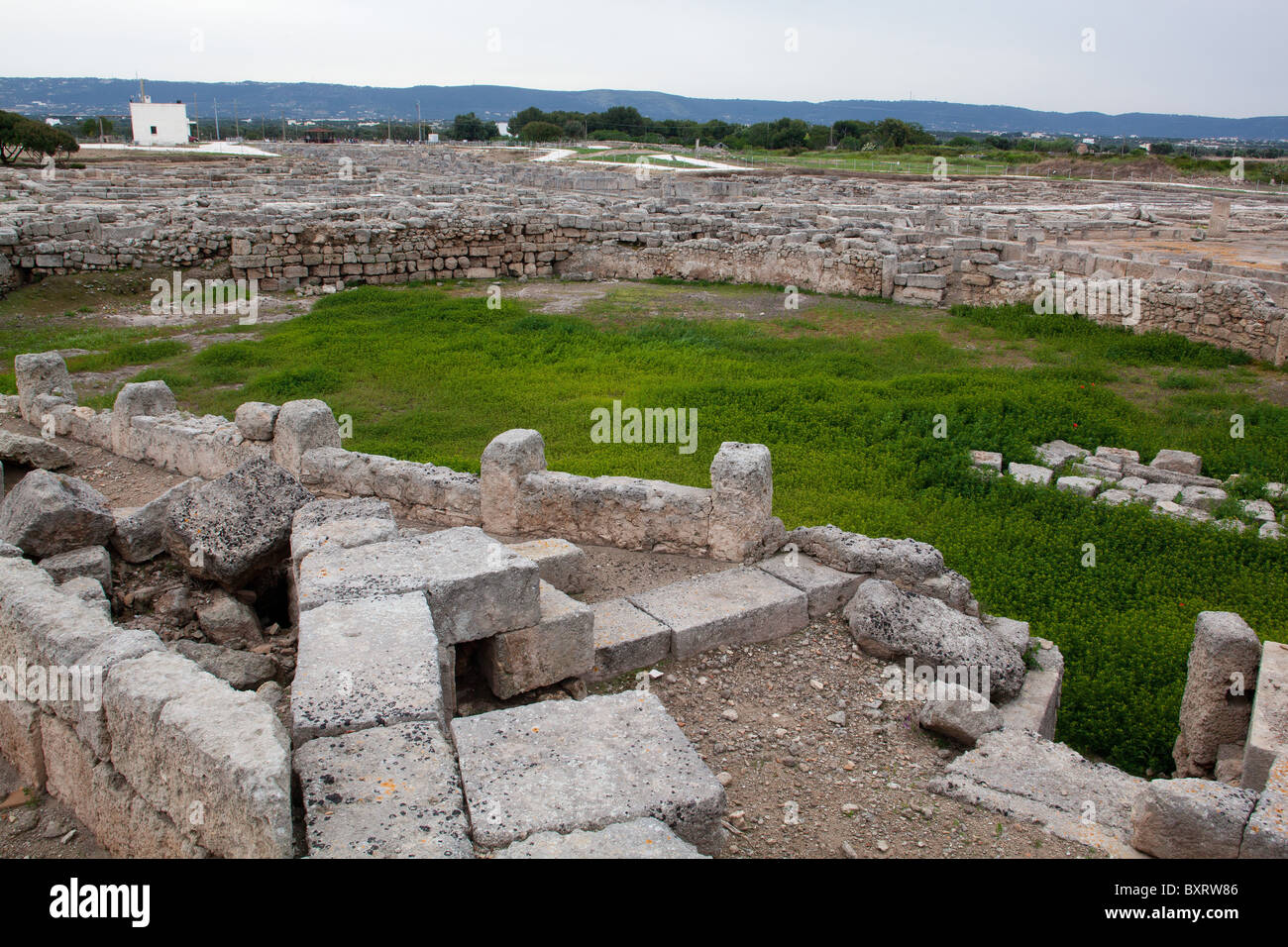 Anfiteatro, Achaeological site, Egnazia, Puglia, Italia Foto Stock