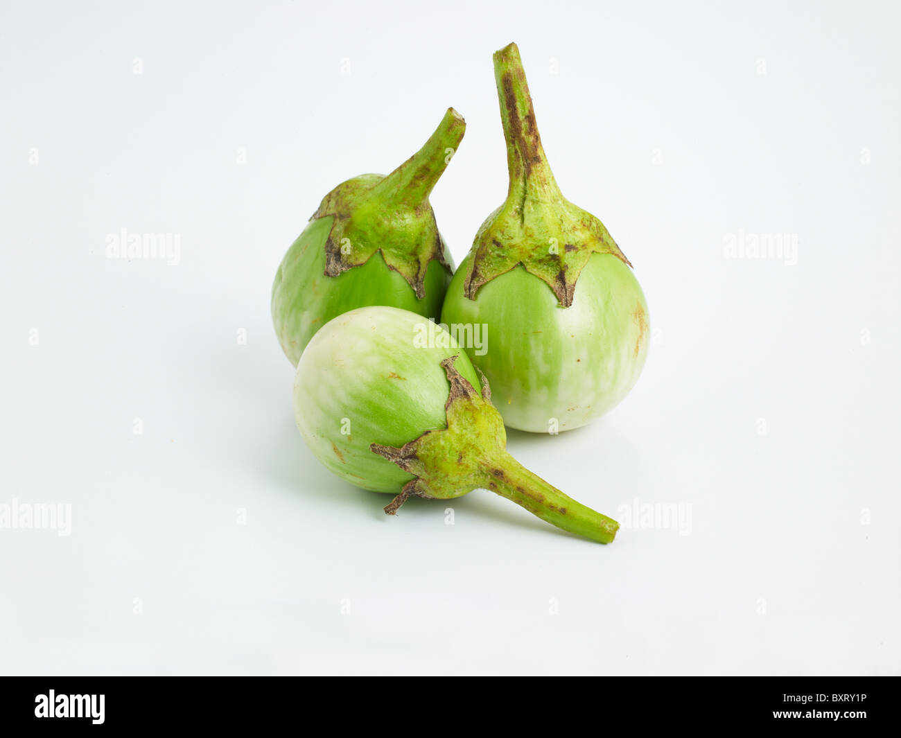 Melanzane bianco su sfondo bianco Foto Stock