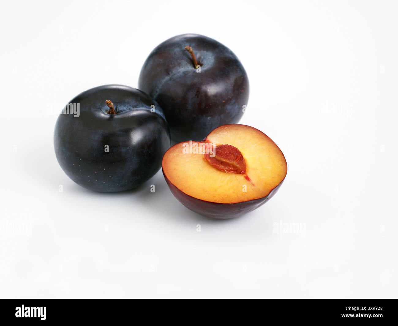 Santa Rosa prugna su sfondo bianco Foto stock - Alamy