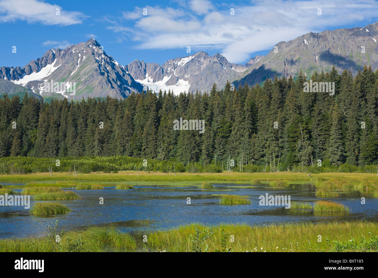 Le frastagliate cime delle montagne attraverso la palude terreni in Seward Alaska Foto Stock