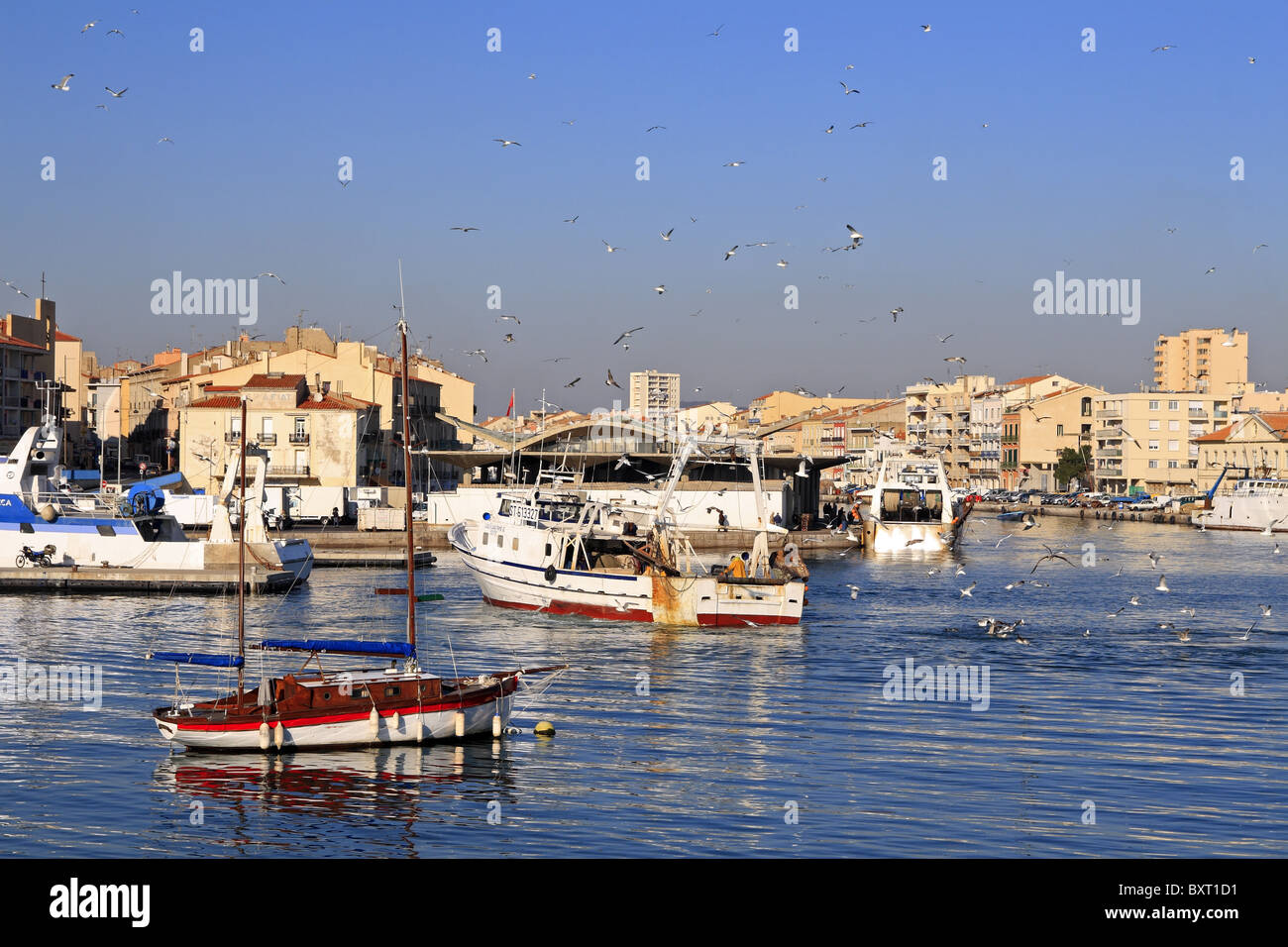 Il porto di Sete, Languedoc Roussillon, Francia Foto Stock