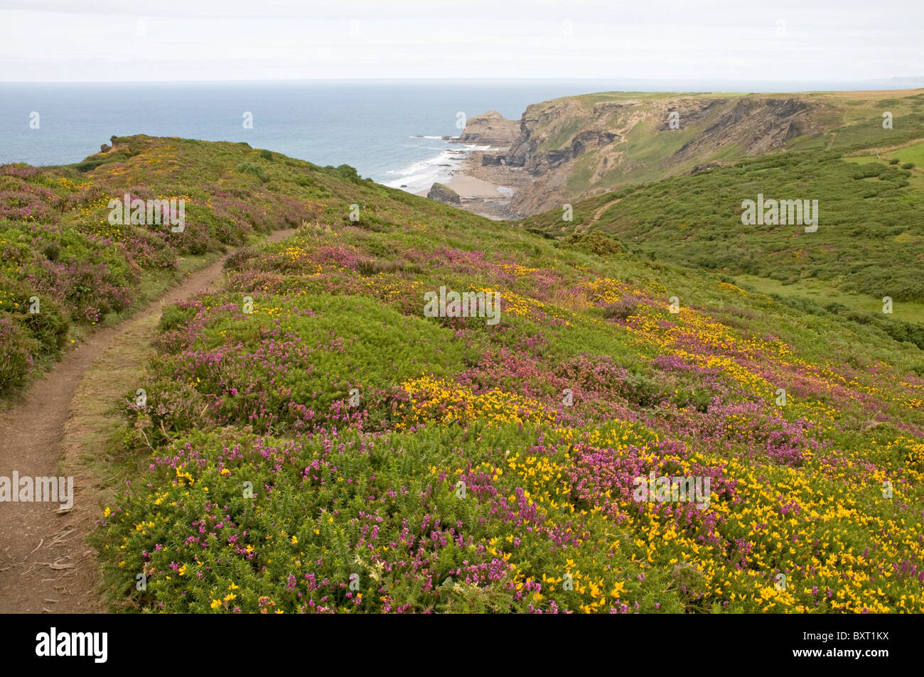 L'impressionante North Cornwall costa al alta rupe, a poche miglia a nord di Boscastle, con Cambeak promontorio della distanza Foto Stock