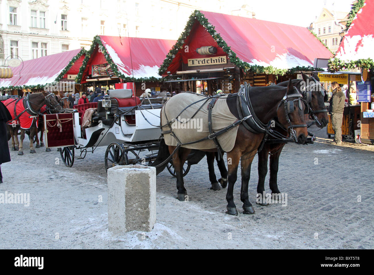 Tradizionale mercatino di Natale con i cavalli in Piazza della Città Vecchia di Praga, Repubblica Ceca Foto Stock