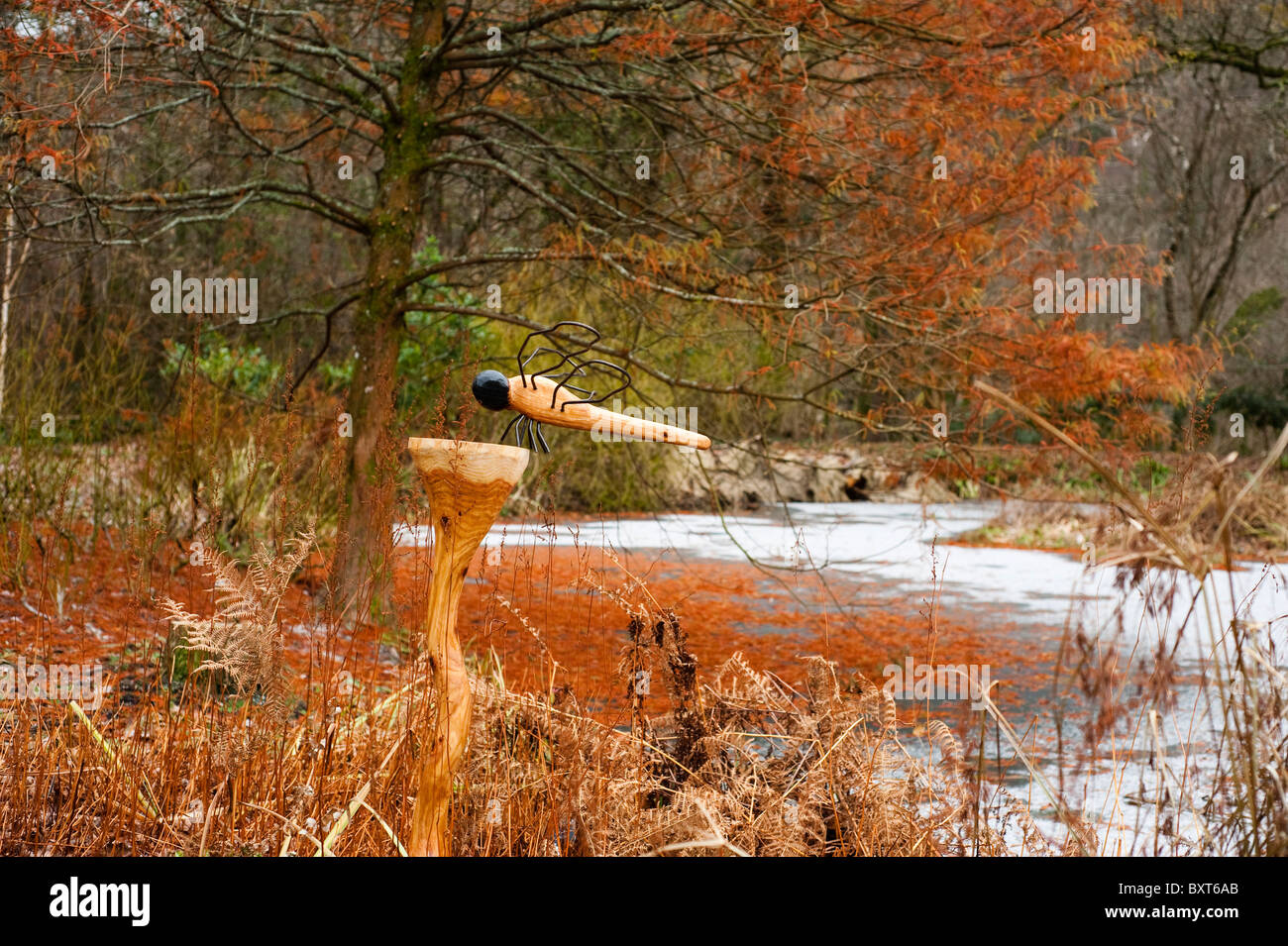 'Dragonfly' da Ben può ad RHS Rosemoor in inverno, Devon, Inghilterra, Regno Unito Foto Stock