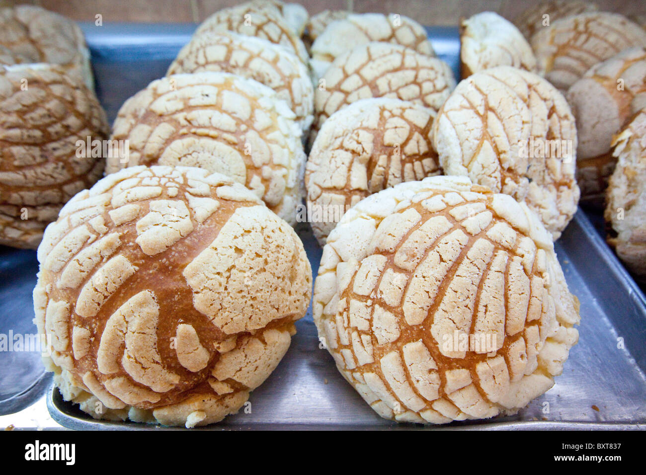Conchas o Messicana di pane dolce in una panetteria di Coyoacan, Città del Messico, Messico Foto Stock