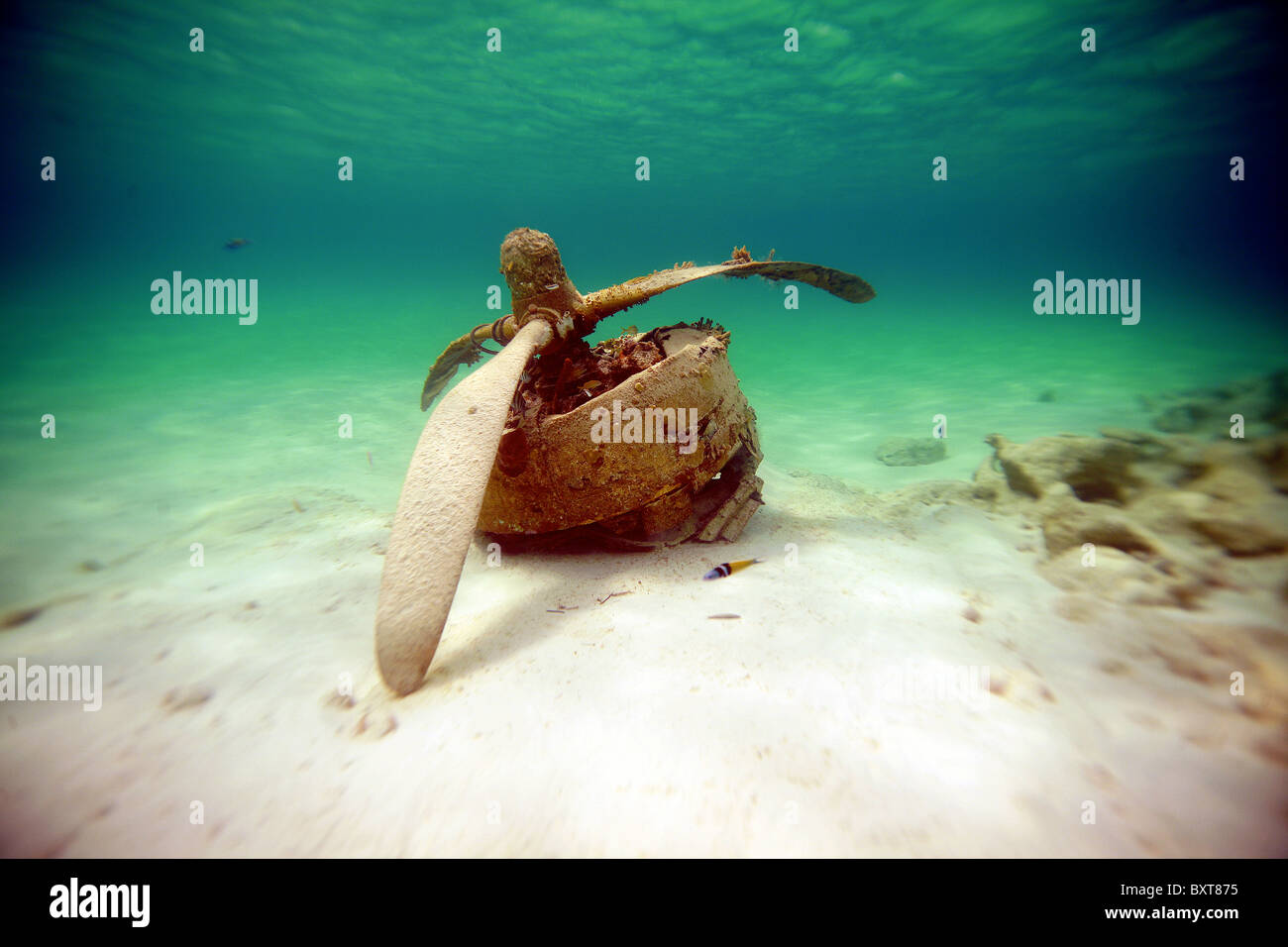 Piano relitto subacqueo ad elica. Bahamas. Oceano atlantico Foto Stock