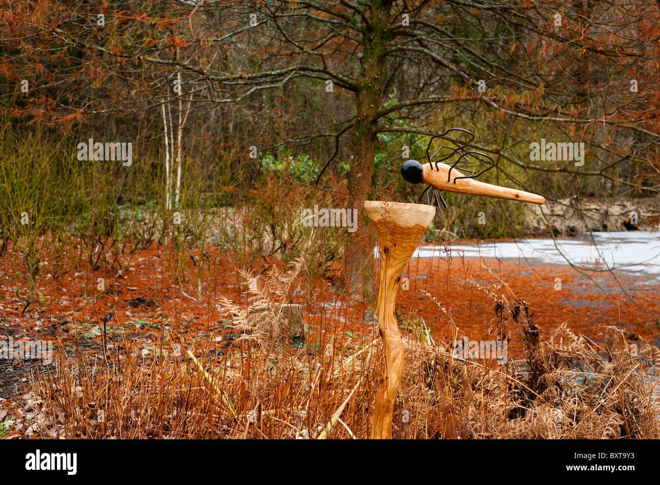 'Dragonfly' da Ben può ad RHS Rosemoor in inverno, Devon, Inghilterra, Regno Unito Foto Stock