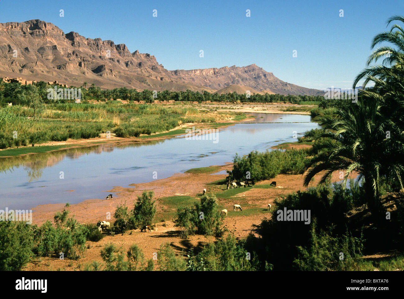Il fiume Draa in esecuzione attraverso la fertile Valle di Draa, Marocco Foto Stock
