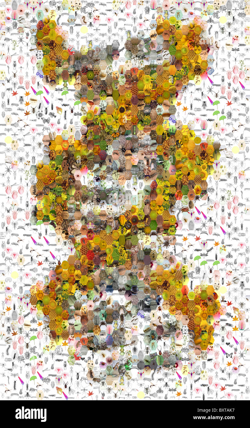 Fotomosaico di una molecola di DNA Foto Stock