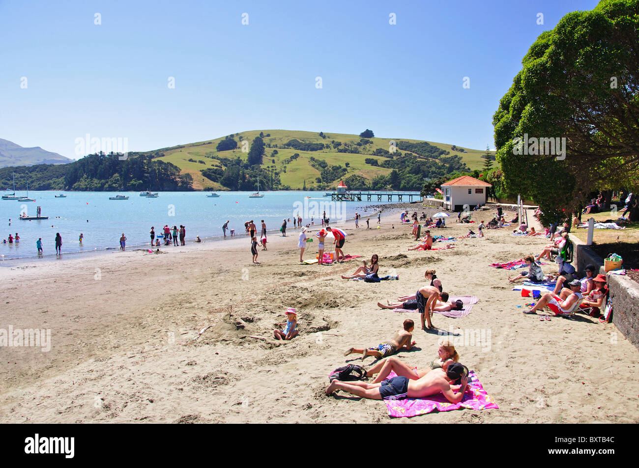 Il francese Bay Beach, Akaroa, Penisola di Banks, Canterbury, Nuova Zelanda Foto Stock