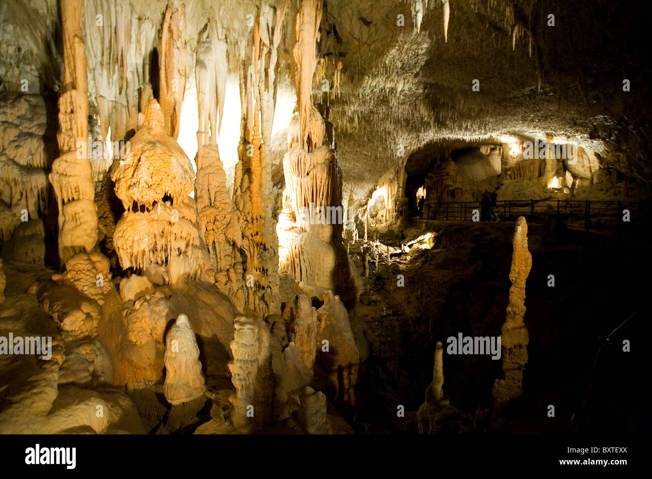 Le Grotte di Postumia, regione Notranjska, Slovenia, Europa Foto Stock